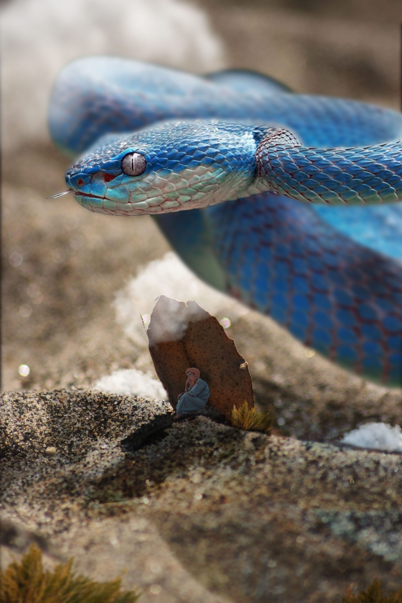 Creative depiction of a large blue snake alongside a miniature human figure in a natural setting. Représentation créative d'un grand serpent bleu aux côtés d'une figurine humaine miniature dans un cadre naturel.