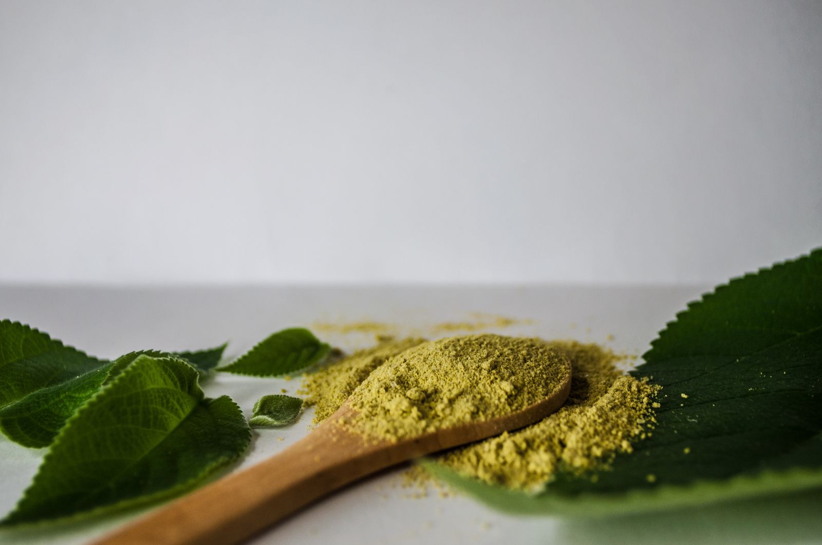 Poudres de plantes tinctoriales sur une cuillère en bois
